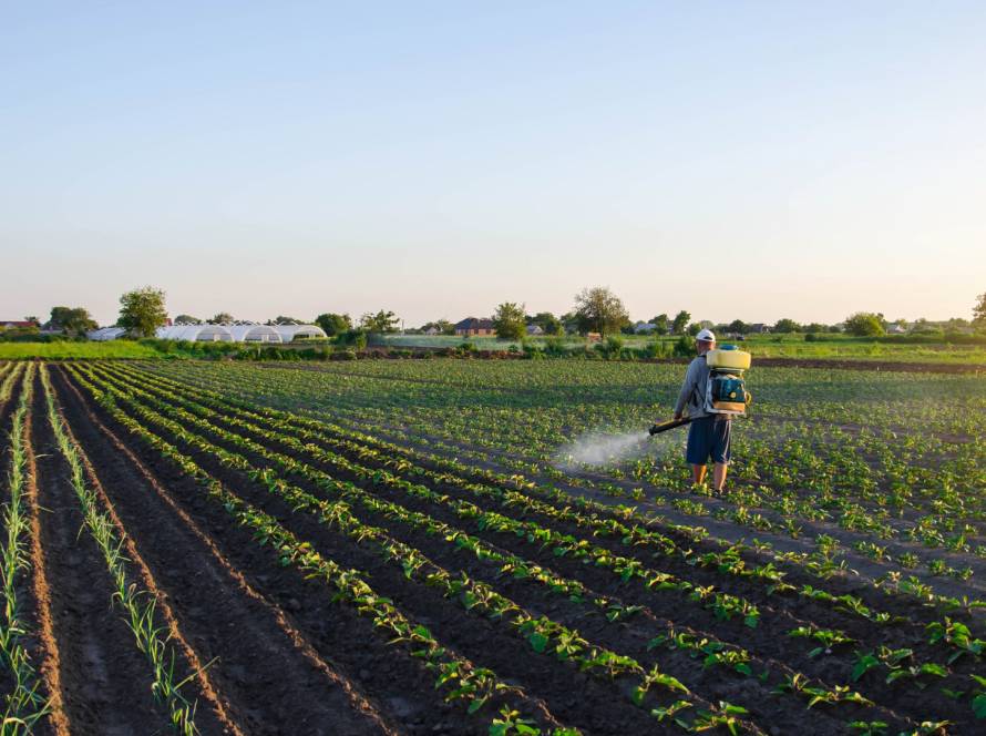 agricultural production