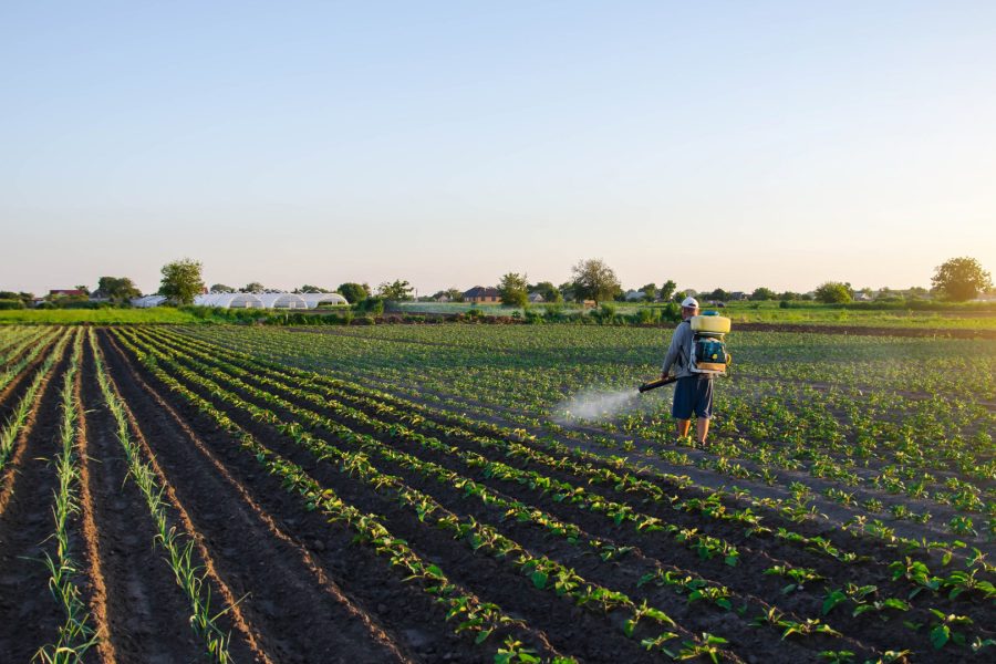 Возделывать поля. Плантация картофеля. Хозяйство защитное. Cultivate Cutton Crop. Buyer Crop Protection.