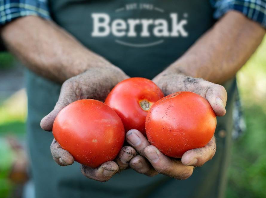 Berrak turşuları, domates tutan erkek elleri