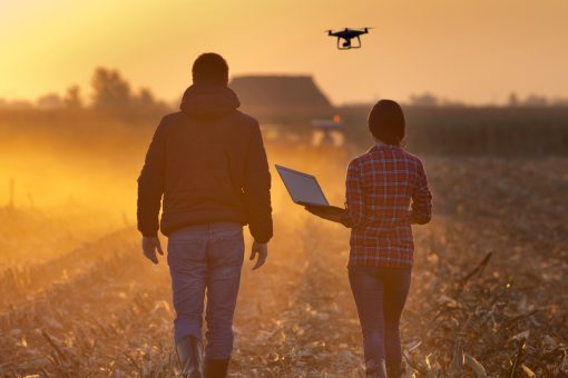 Technology and Innovation in Agriculture